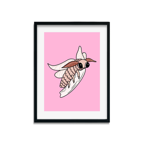 Silk Moth | Nocturnal Creatures | Art Print - Scaredy Cat Studio