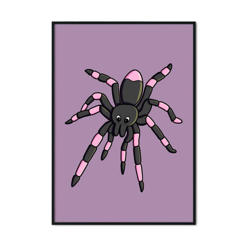 Spider | Nocturnal Creatures | A2 Poster - Scaredy Cat Studio