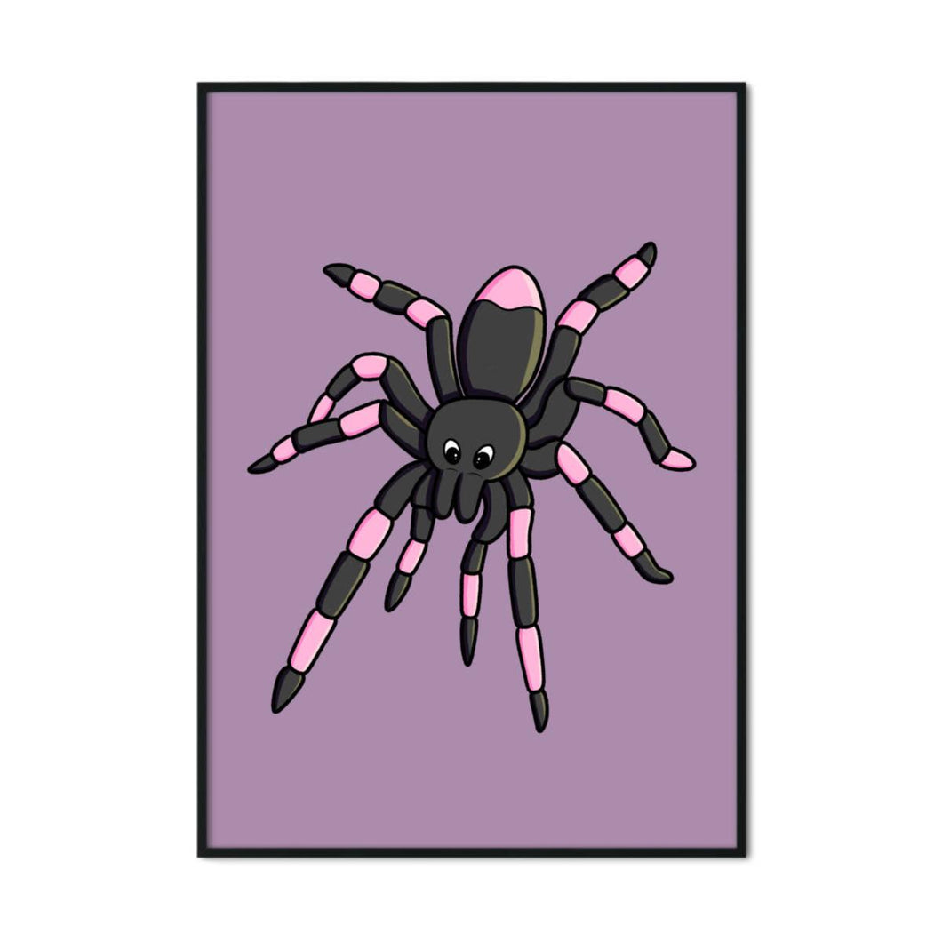 Spider | Nocturnal Creatures | A2 Poster - Scaredy Cat Studio