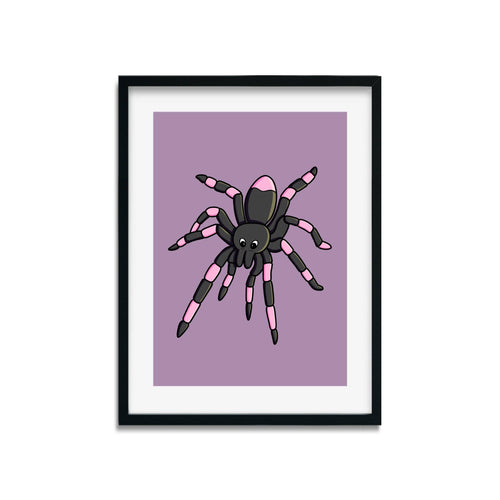 Spider | Nocturnal Creatures | Art Print - Scaredy Cat Studio