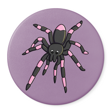 Laden Sie das Bild in den Galerie-Viewer, Spinne | Nachtaktive Kreaturen | Taschenspiegel