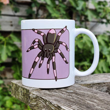 Laden Sie das Bild in den Galerie-Viewer, Spider | Nocturnal Creatures | Ceramic Mug - Scaredy Cat Studio
